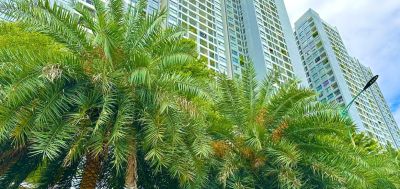 CÁC VĂN BẢN DỰ THẢO CHUẨN BỊ CHO HNNCC 5/2025